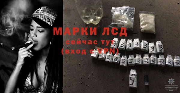 стафф Алзамай