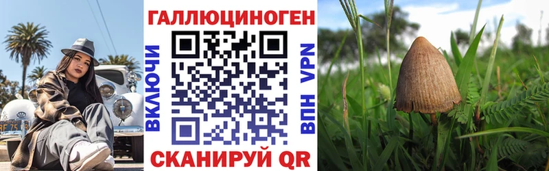 Галлюциногенные грибы прущие грибы  Порхов 